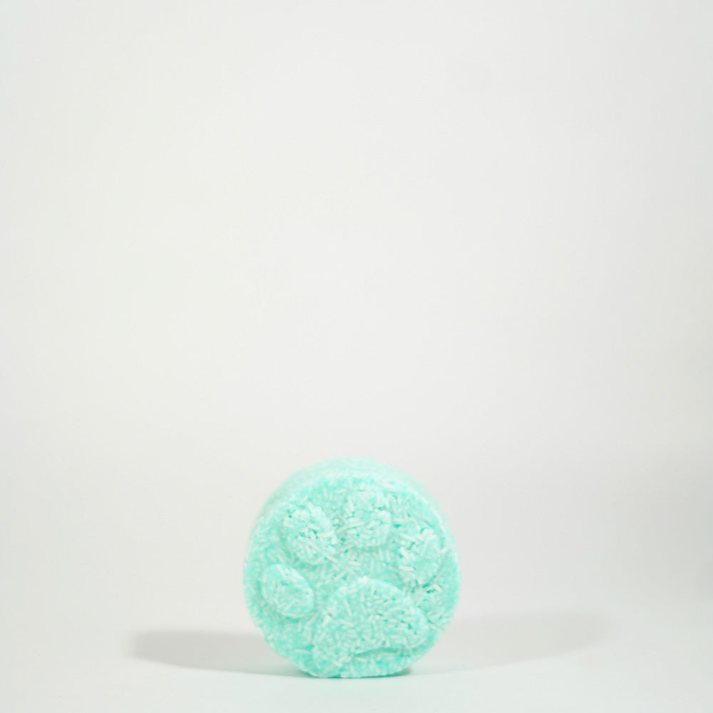 Paws Shampoo Bar - Eucalyptus Mint