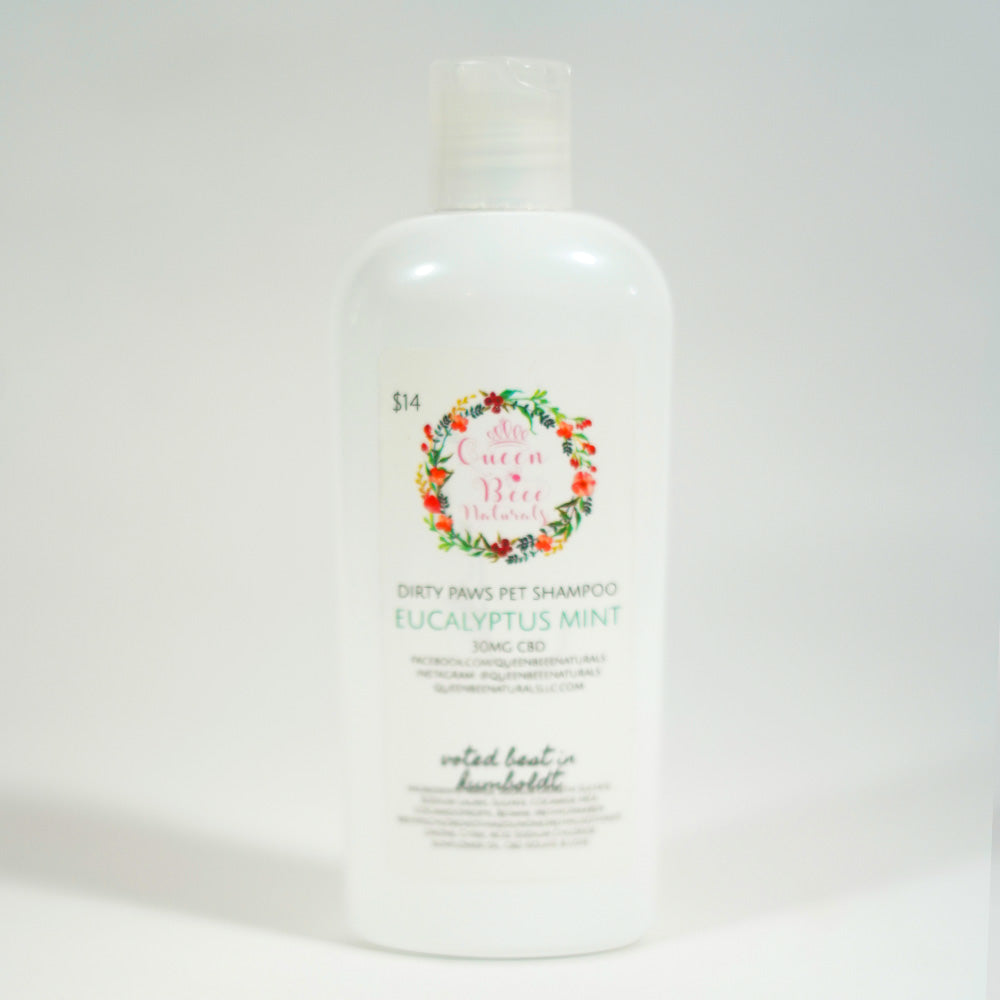 Paws Pet Shampoo - Eucalyptus Mint